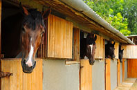 free Shawtonhill stable construction quotes